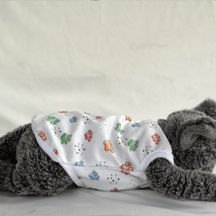 Motif-Kaki-Kucing - 2