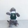 Barista - 2 Barista - 2