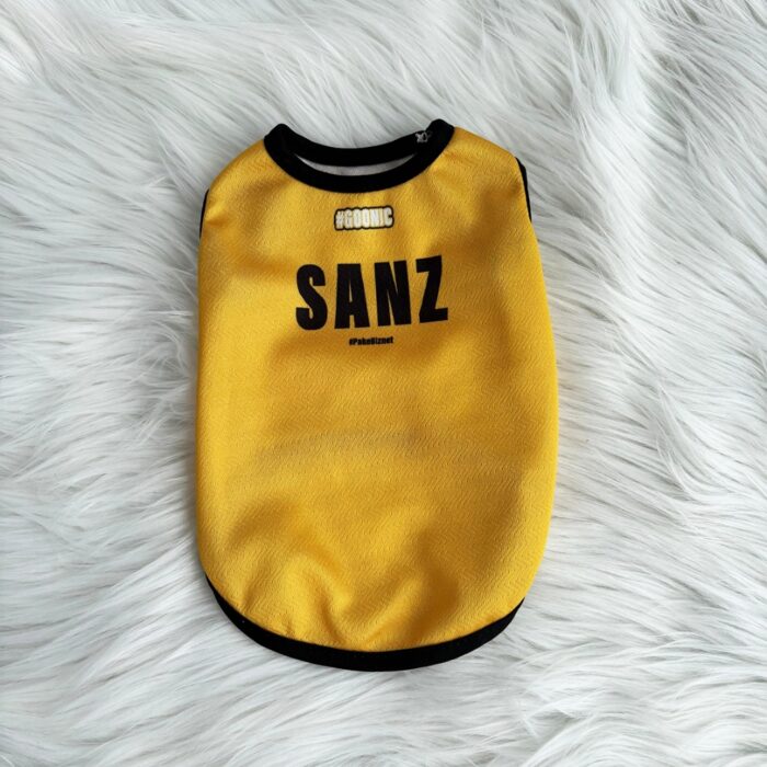 ONIC-Sanz - 2