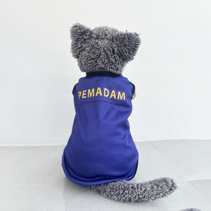 Pemadam - 2