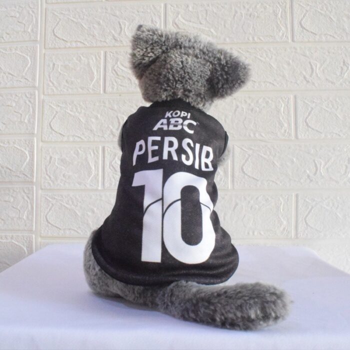 Persib-Away - 2