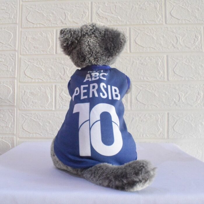 Persib-Home - 2 Persib-Home - 2
