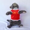 Peta-Indonesia-Merah - 2