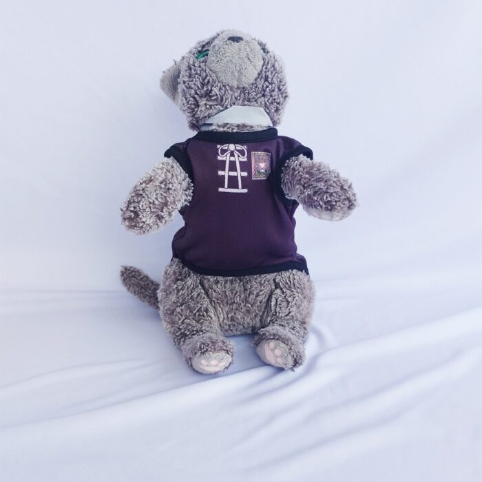 PSHT - 2 PSHT - 2