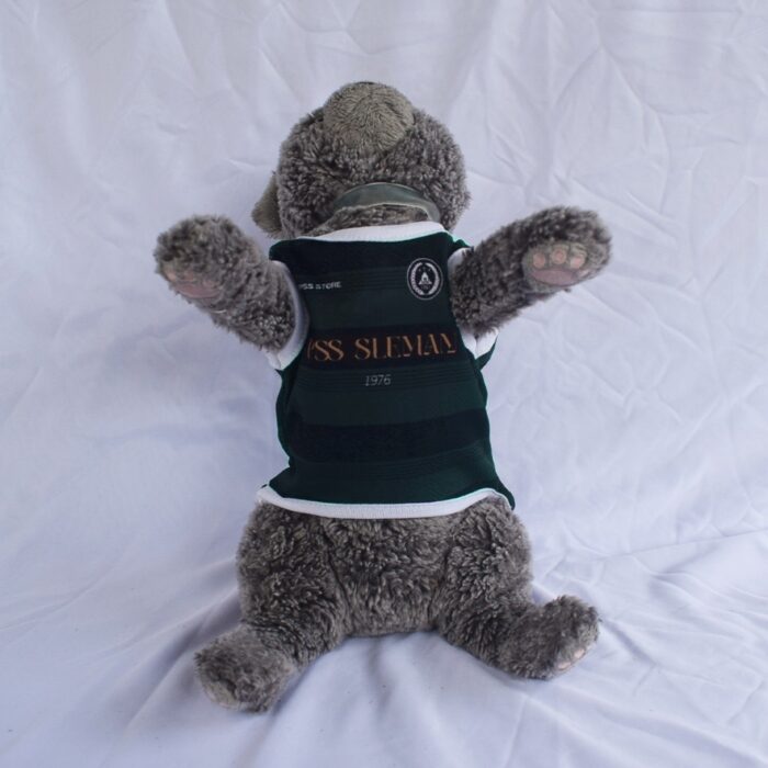 PSS-SLEMAN - 2