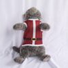 Santa-Claus - 2