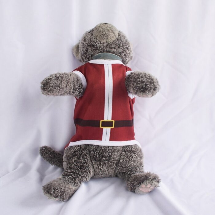 Santa-Claus - 2