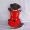 Santa-Rusa-Merah - 2