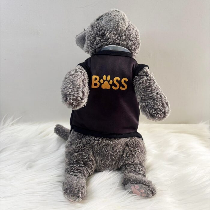Boss - 2