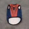 Spiderman - 2