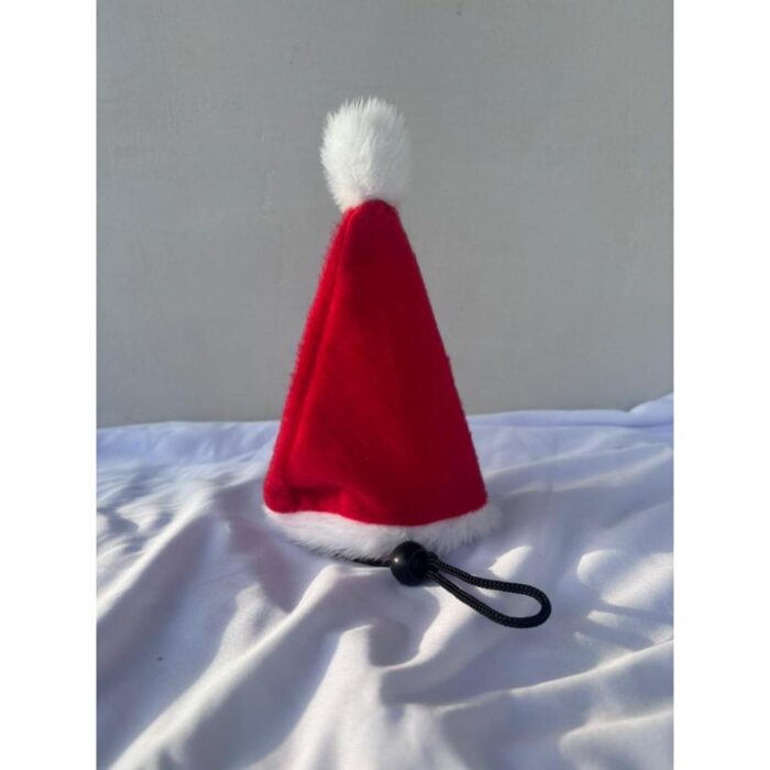 Topi-Santa-Claus - 2