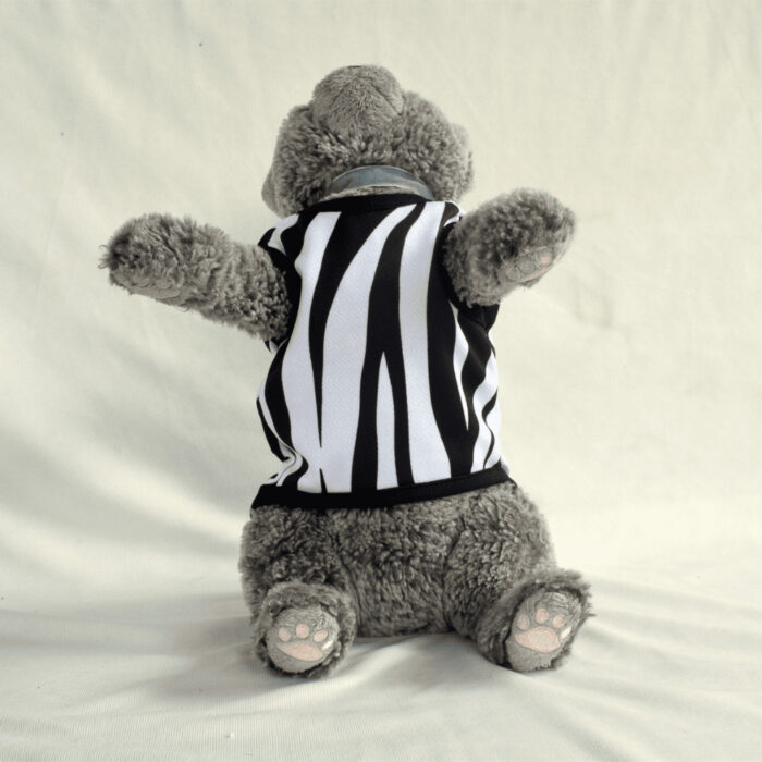 Zebra - 2 Zebra - 2