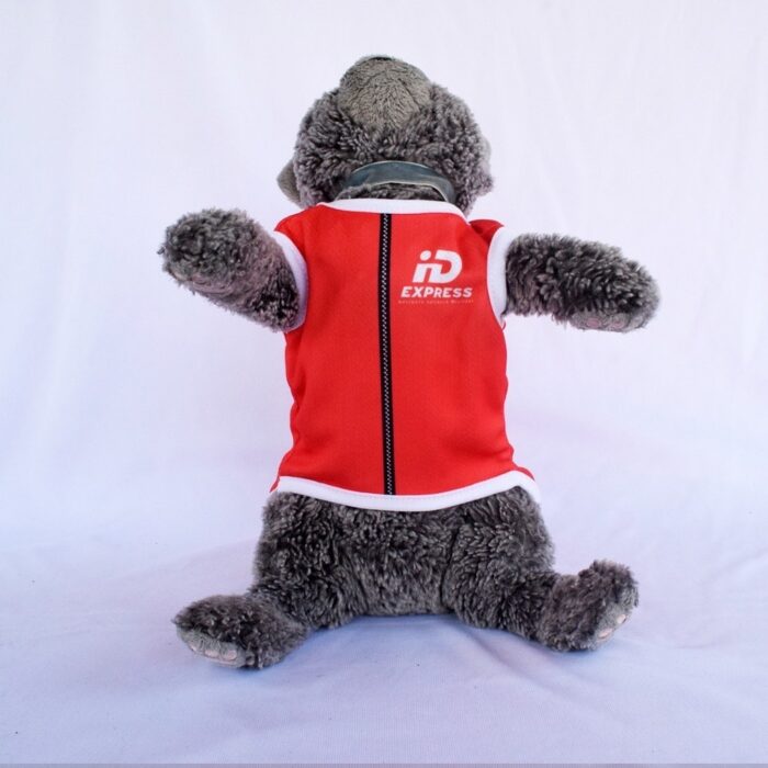Id-Express - 2