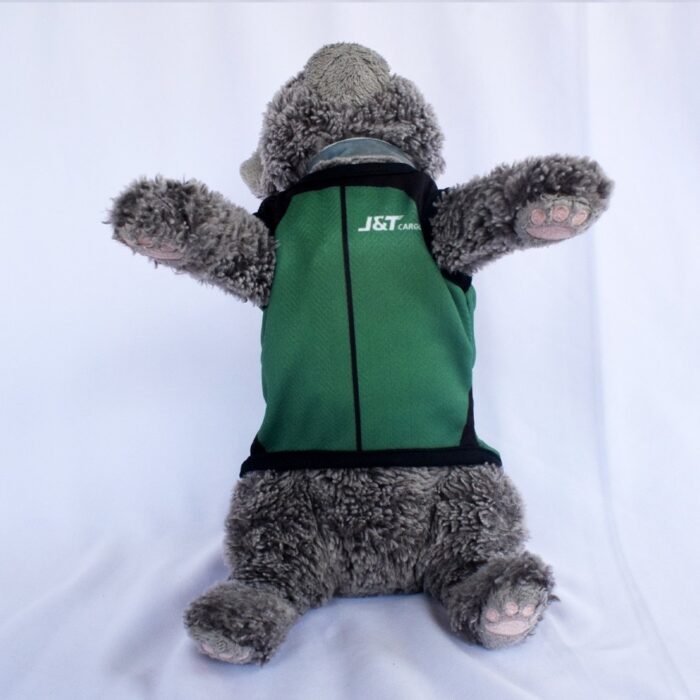 JNT-Cargo - 3