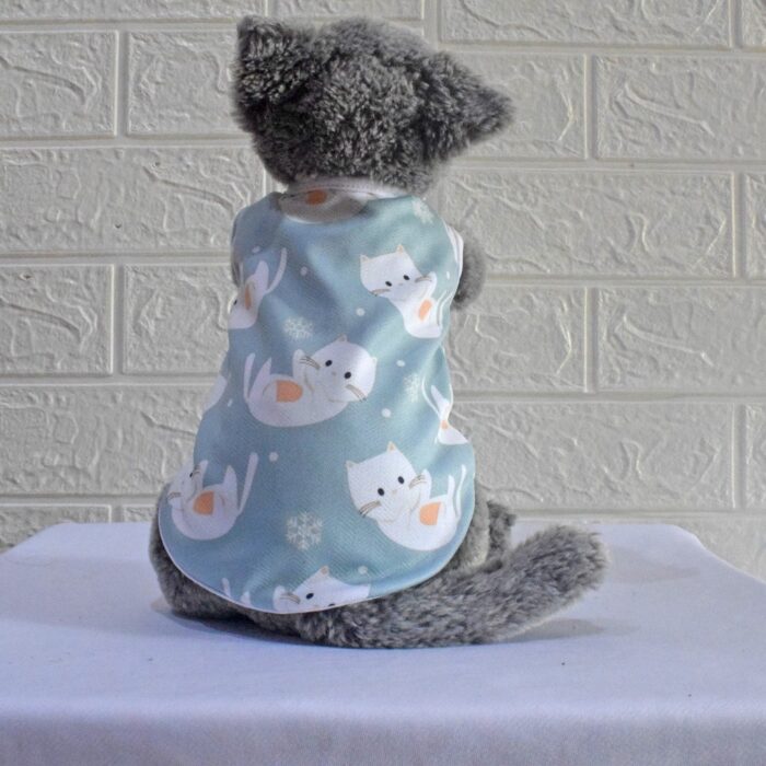 Kucing-Biru - 3