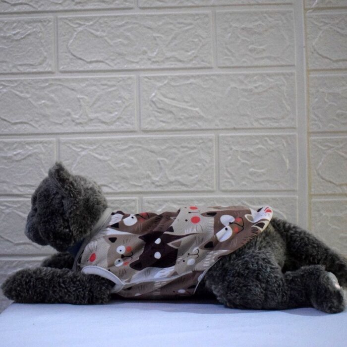 Kucing-Coklat - 3