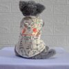 Kucing-Krem - 3