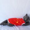 Peta-Indonesia-Merah - 3