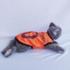 Belanda - 3
