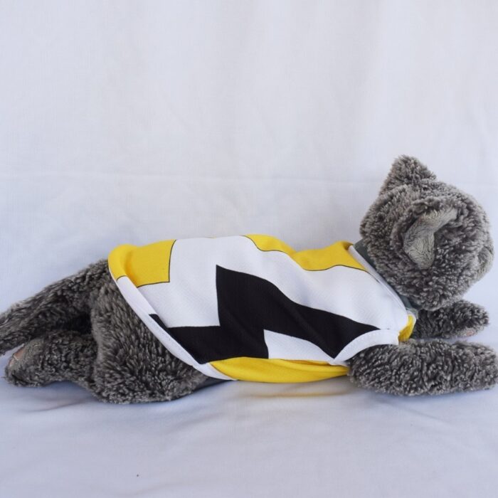 Ranger-Kuning - 3