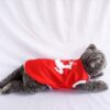 Rusa-Merah - 3
