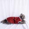 Santa-Claus - 3