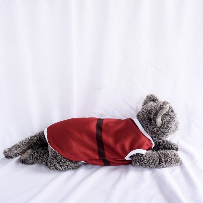 Santa-Claus - 3