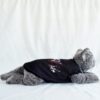 StrayKidz - 3