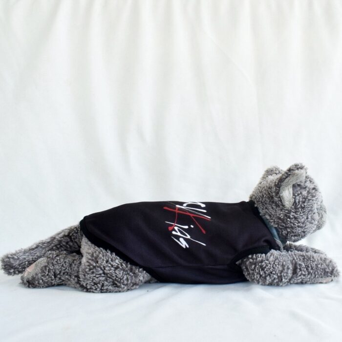 StrayKidz - 3