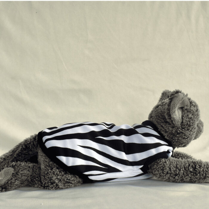 Zebra - 3 Zebra - 3