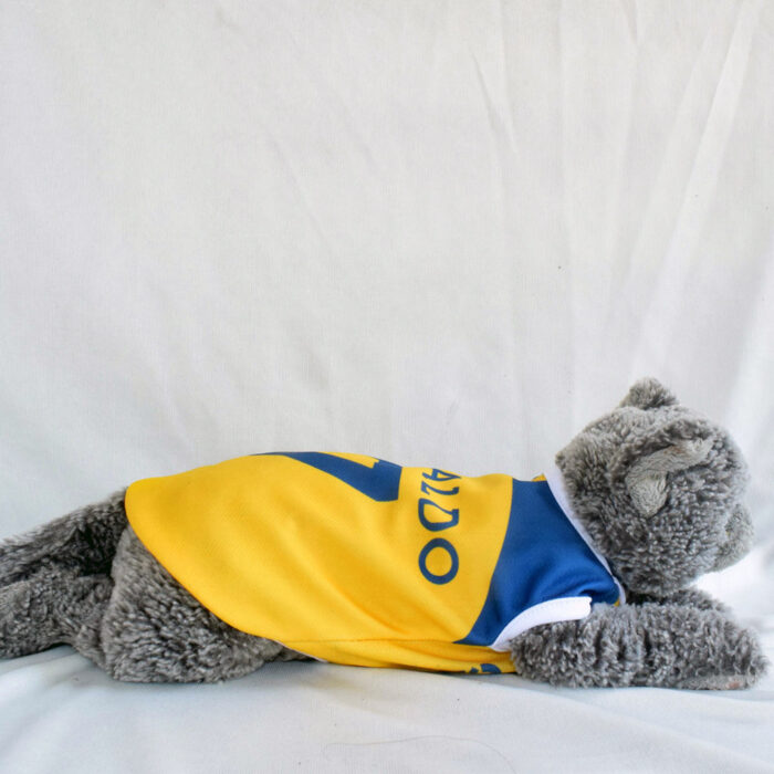 Al-Nassr - 3