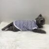 Garis-Biru - 3