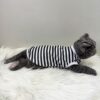 Garis-Hitam - 3