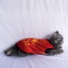 Imlek-Gong-Xi-Fa-Cai - 3