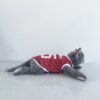 Indonesia-Erspo-Merah - 3 Indonesia-Erspo-Merah - 3