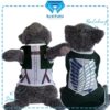 AOT-Hijau - Cover