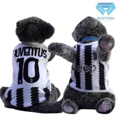 Juventus - Cover Juventus - Cover