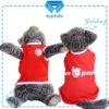 Lion-Parcel - Cover