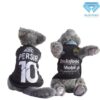 Persib-Away - Cover