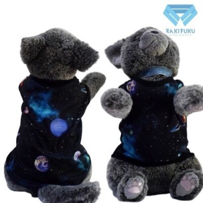 Planet-Bimasakti - Cover
