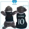 PSS-SLEMAN - Cover
