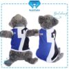 Ranger-Biru - Cover
