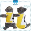 Ranger-Kuning - Cover