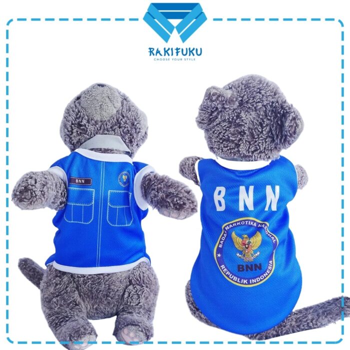BNN - Cover