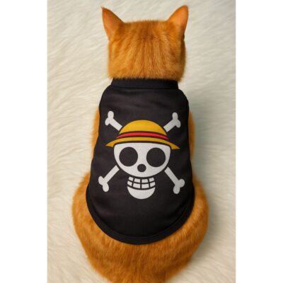 SHP - Cover