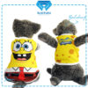 Spongebob - Cover