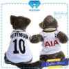 Tottenham - Cover