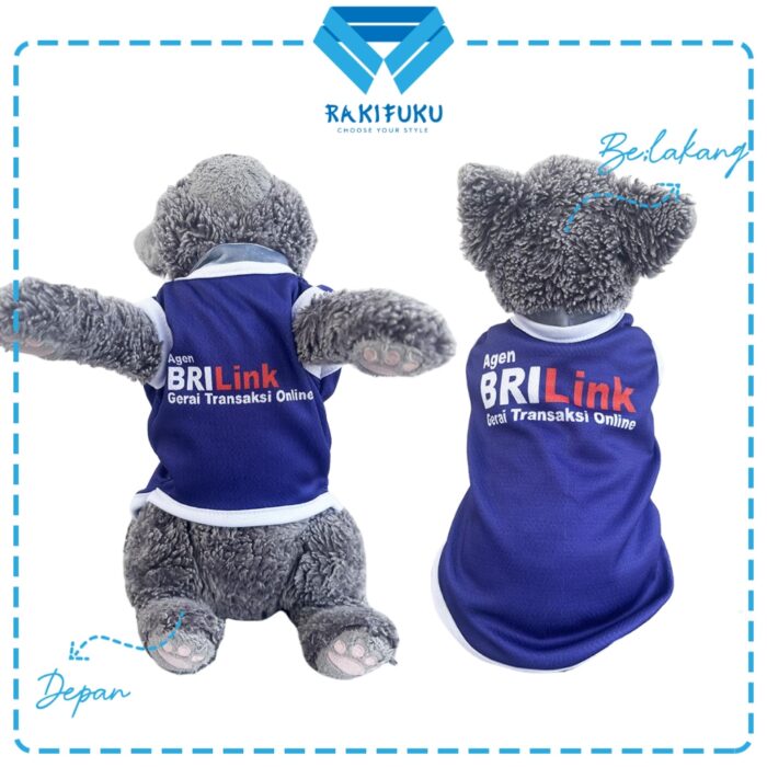 BRI-Link - Cover BRI-Link - Cover