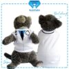 Dokter - Cover