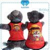 Imlek-Barongsai - Cover